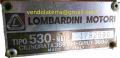 Vendo motozappa Lombardini, motore e cambio nuovi, con carrello ribaltabile e frese.